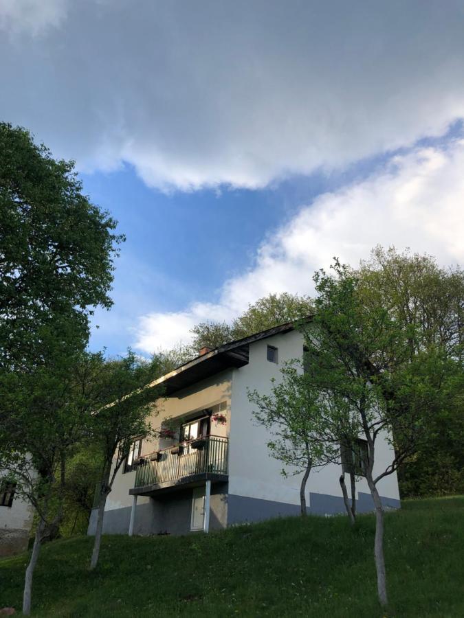 Etno Kuca Milidrag Villa Foca Exteriör bild