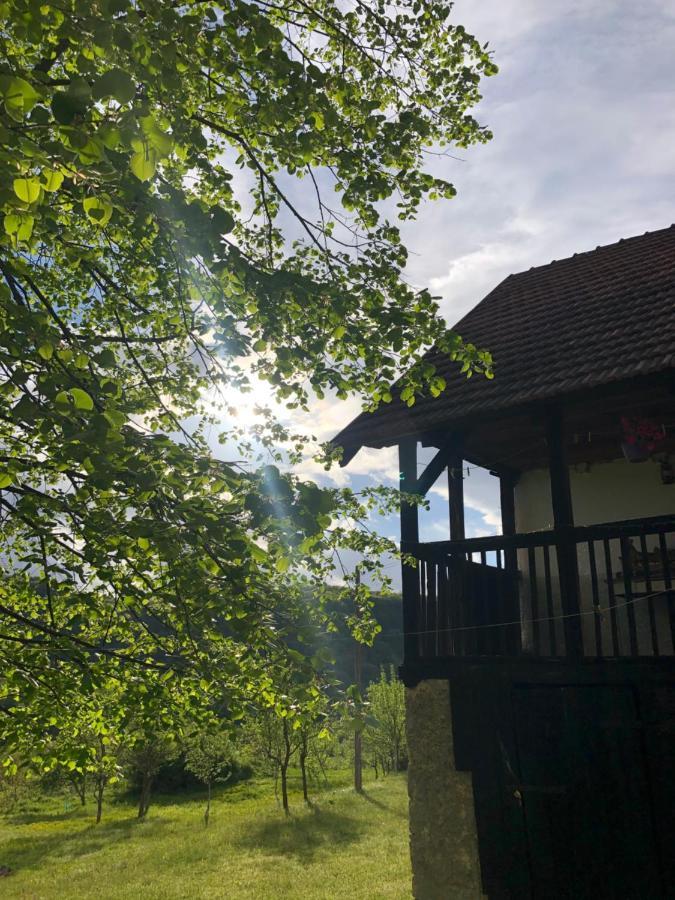 Etno Kuca Milidrag Villa Foca Exteriör bild